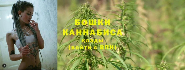 гидра Алзамай